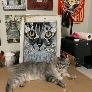 Meet your Posher, Bobbie